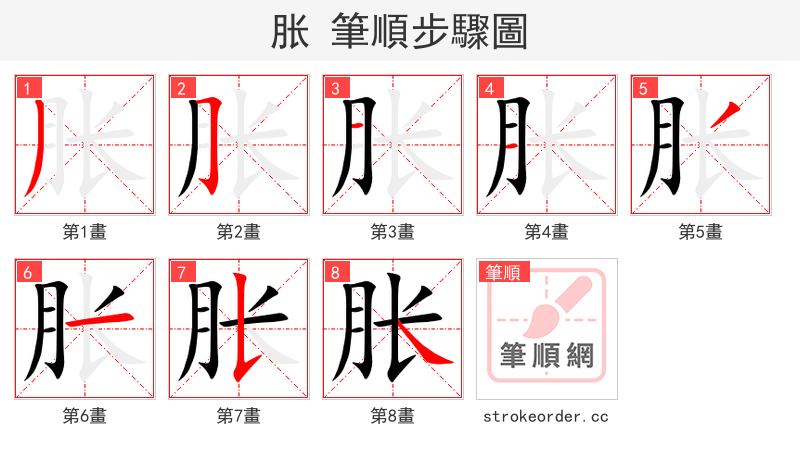 胀 的笔顺分步演示