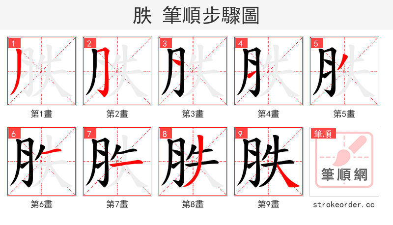 胅 的笔顺分步演示