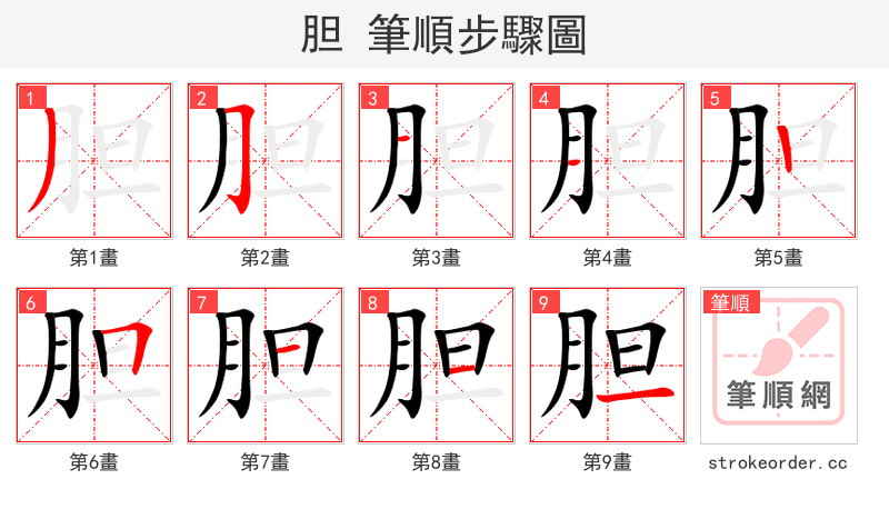 胆 的笔顺分步演示