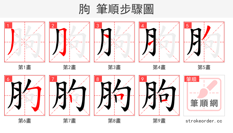胊 的笔顺分步演示