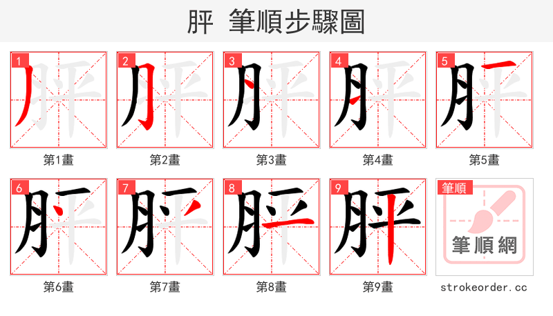 胓 的笔顺分步演示