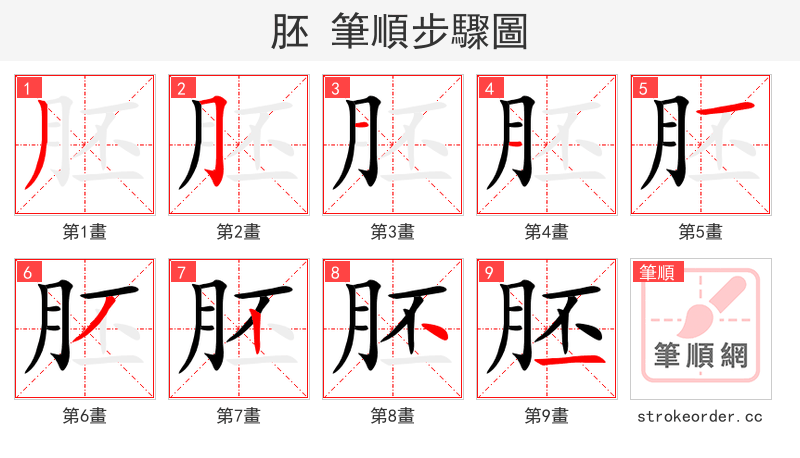 胚 的笔顺分步演示