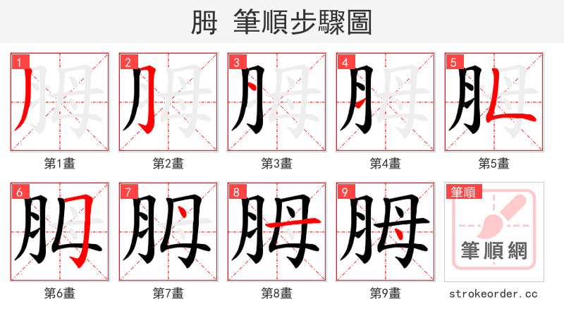 胟 的笔顺分步演示