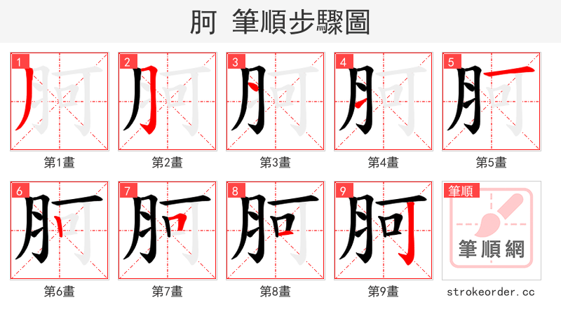 胢 的笔顺分步演示