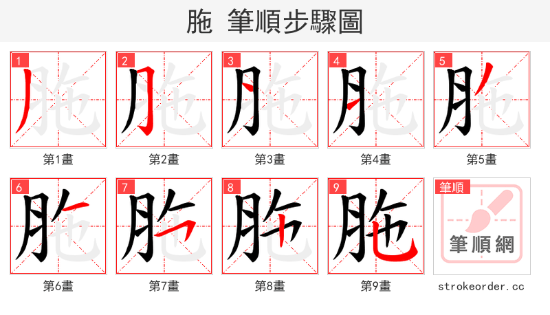 胣 的笔顺分步演示