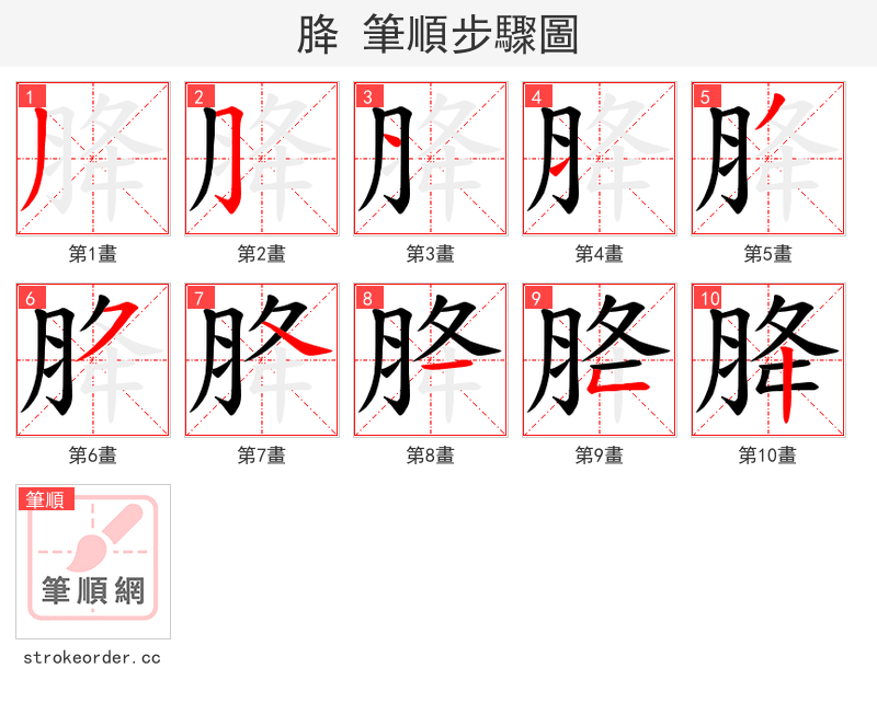 胮 的笔顺分步演示