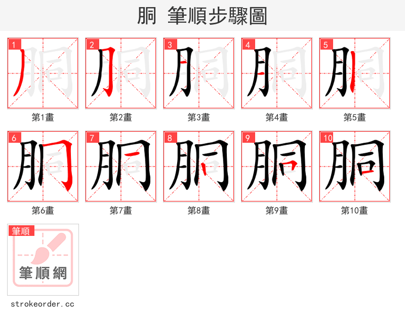 胴 的笔顺分步演示