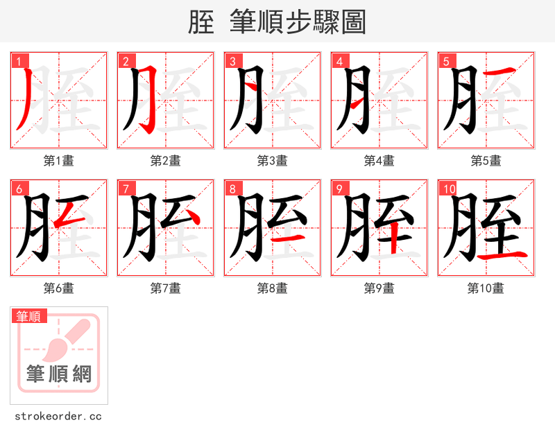 胵 的笔顺分步演示