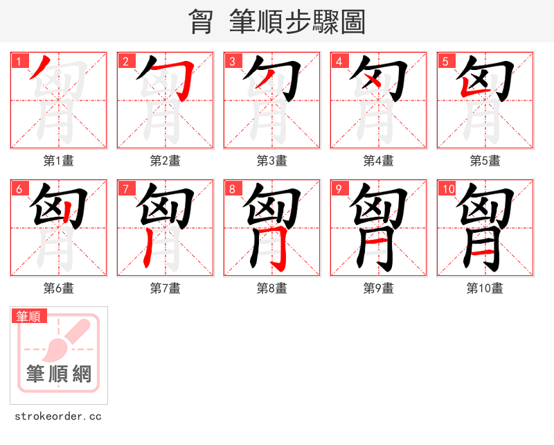 胷 的笔顺分步演示