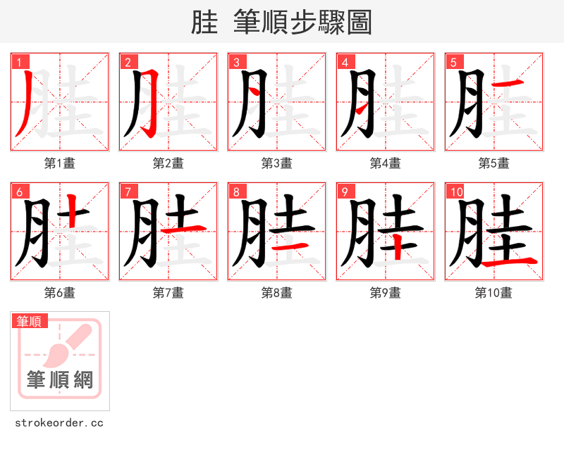 胿 的笔顺分步演示