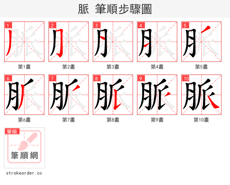 脈 的笔顺分步演示