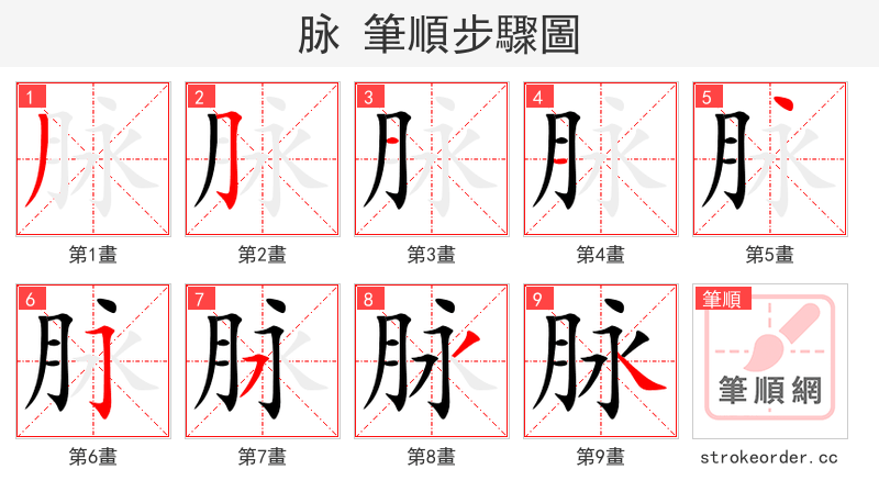脉 的笔顺分步演示