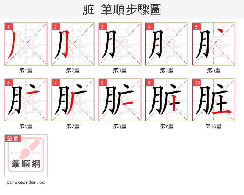 脏 的笔顺分步演示