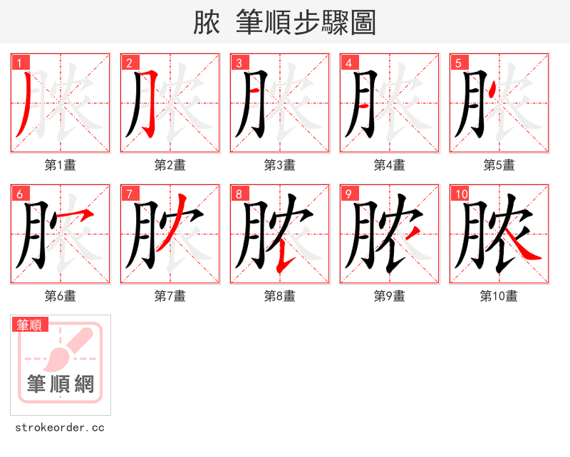 脓 的笔顺分步演示