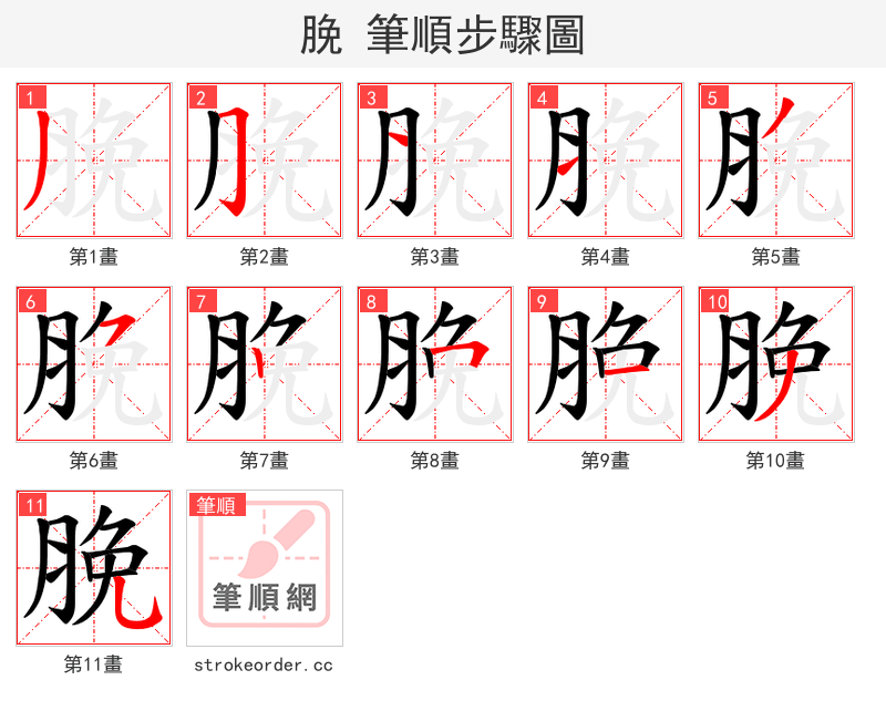 脕 的笔顺分步演示