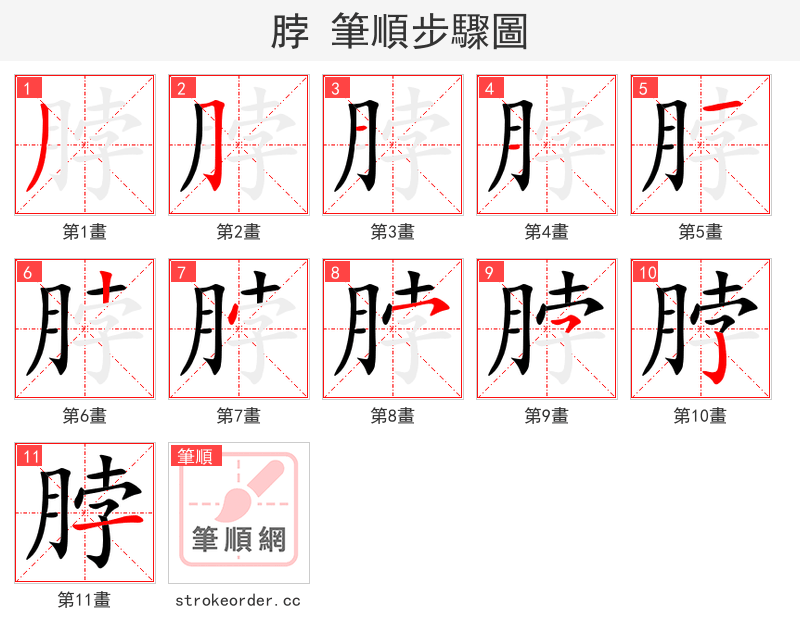 脖 的笔顺分步演示