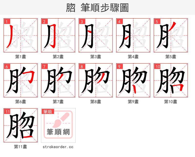 脗 的笔顺分步演示