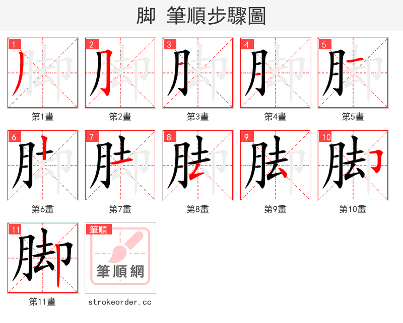脚 的笔顺分步演示
