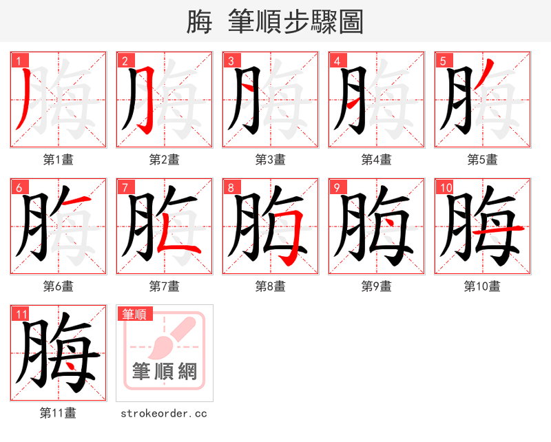 脢 的笔顺分步演示