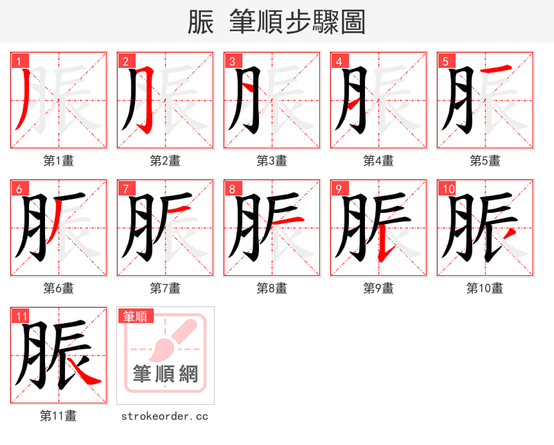 脤 的笔顺分步演示