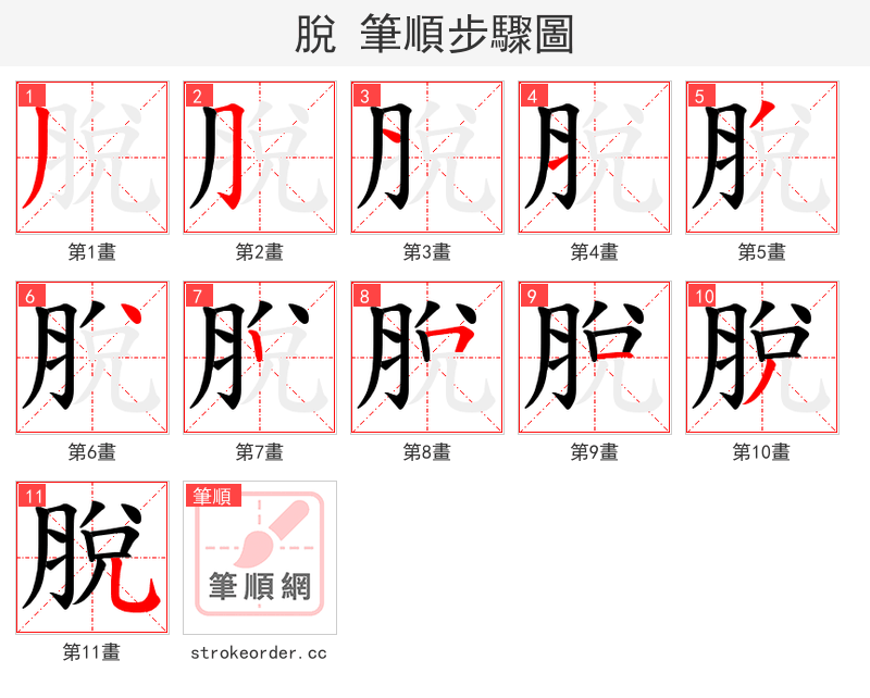 脫 的笔顺分步演示