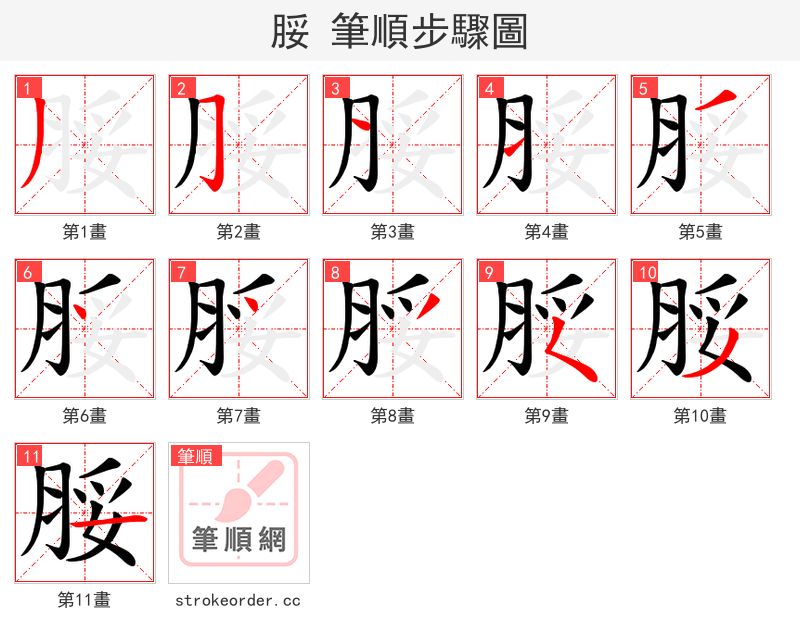 脮 的笔顺分步演示