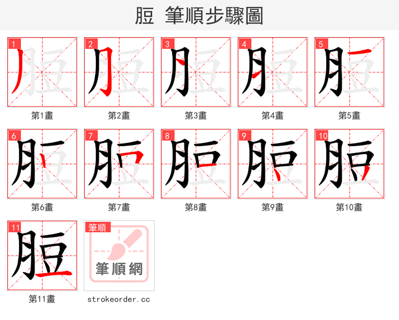 脰 的笔顺分步演示