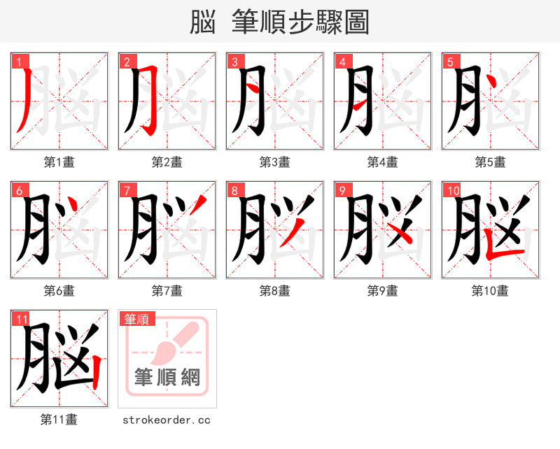 脳 的笔顺分步演示