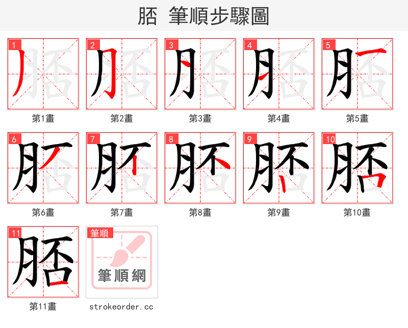 脴 的笔顺分步演示