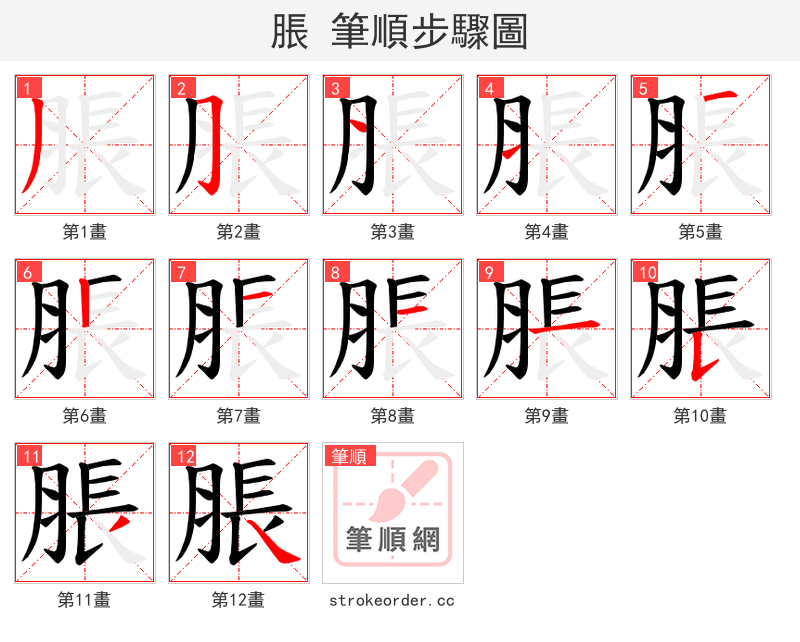 脹 的笔顺分步演示