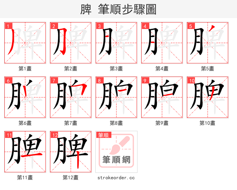 脾 的笔顺分步演示