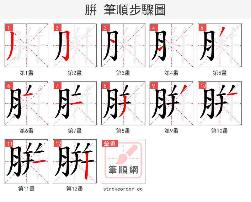 腁 的笔顺分步演示