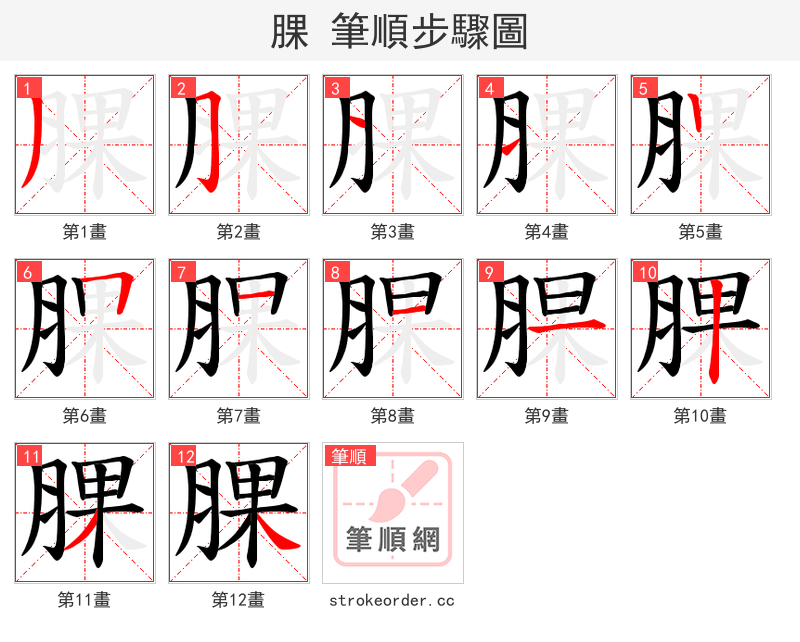 腂 的笔顺分步演示