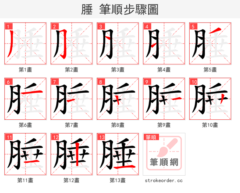 腄 的笔顺分步演示