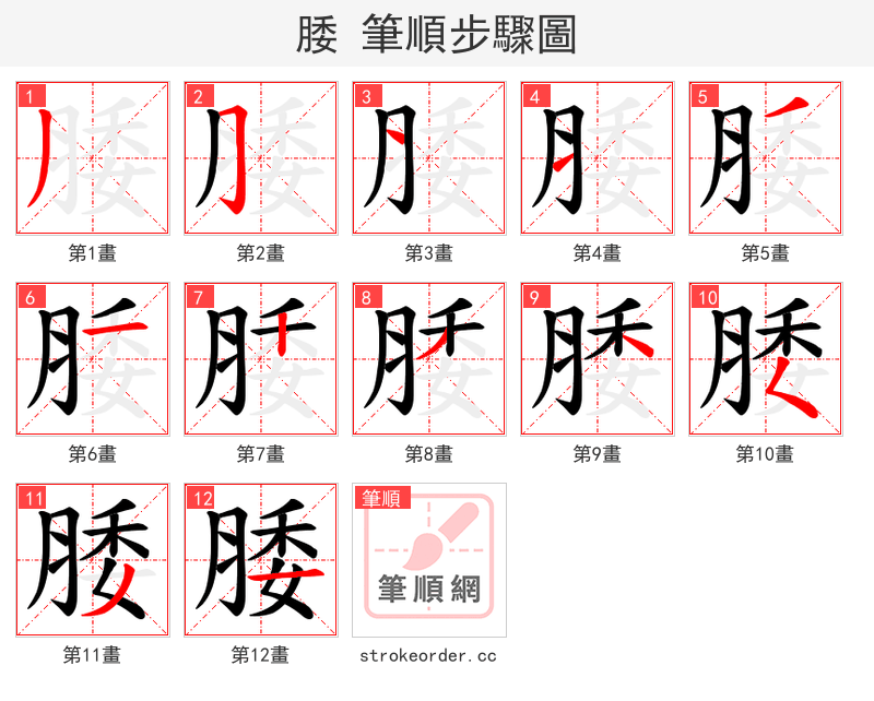 腇 的笔顺分步演示