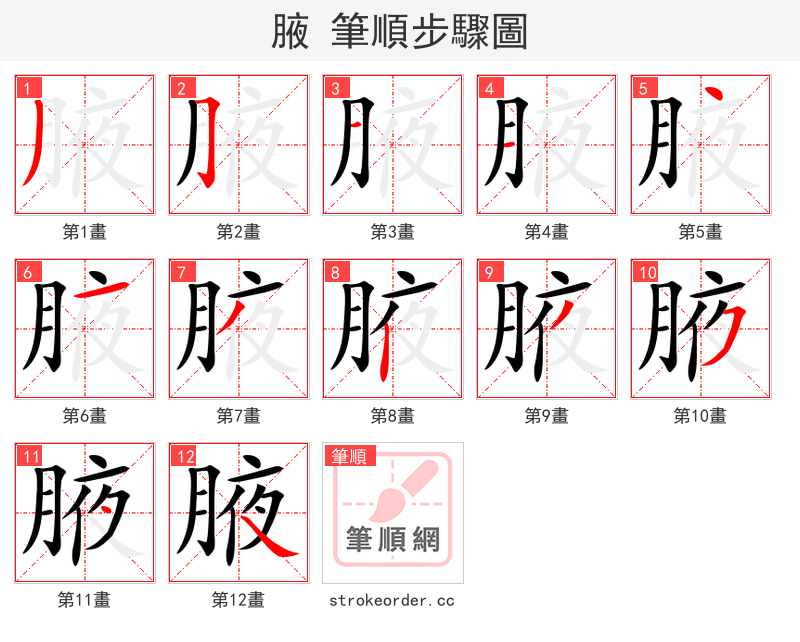 腋 的笔顺分步演示