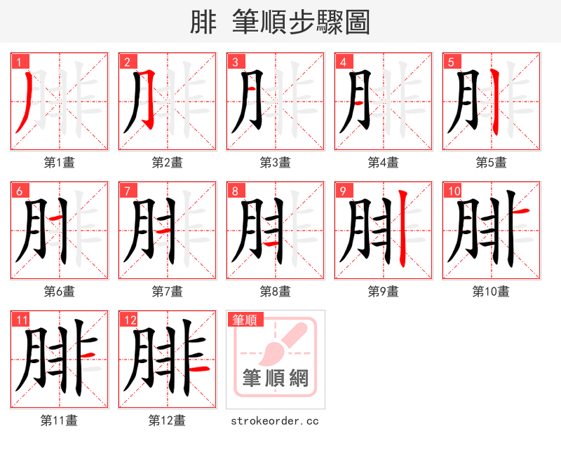 腓 的笔顺分步演示