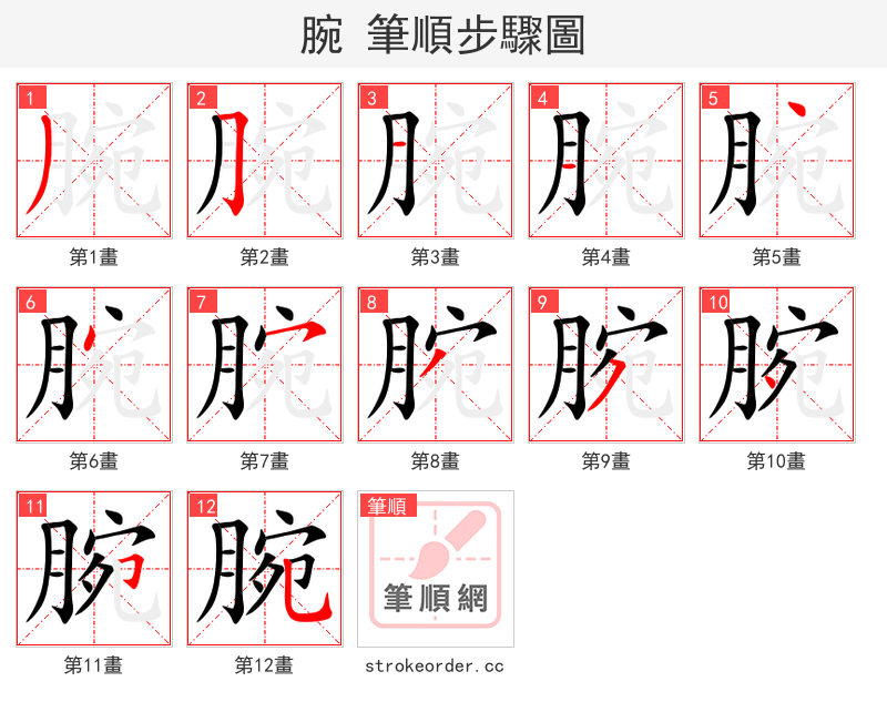 腕 的笔顺分步演示
