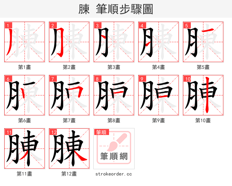 腖 的笔顺分步演示
