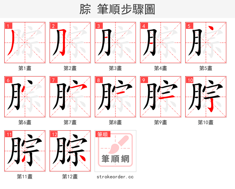 腙 的笔顺分步演示