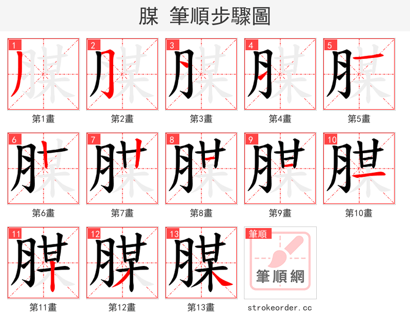 腜 的笔顺分步演示