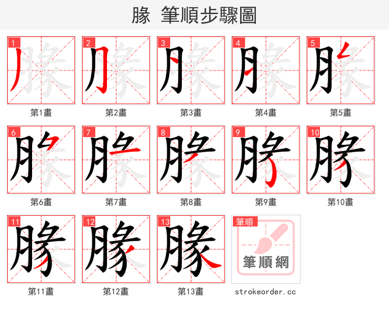 腞 的笔顺分步演示