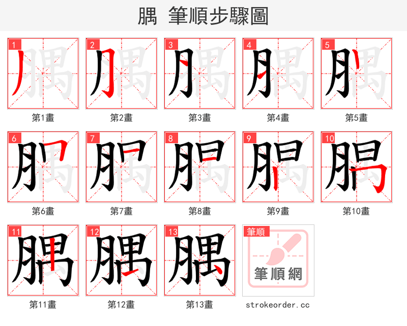 腢 的笔顺分步演示