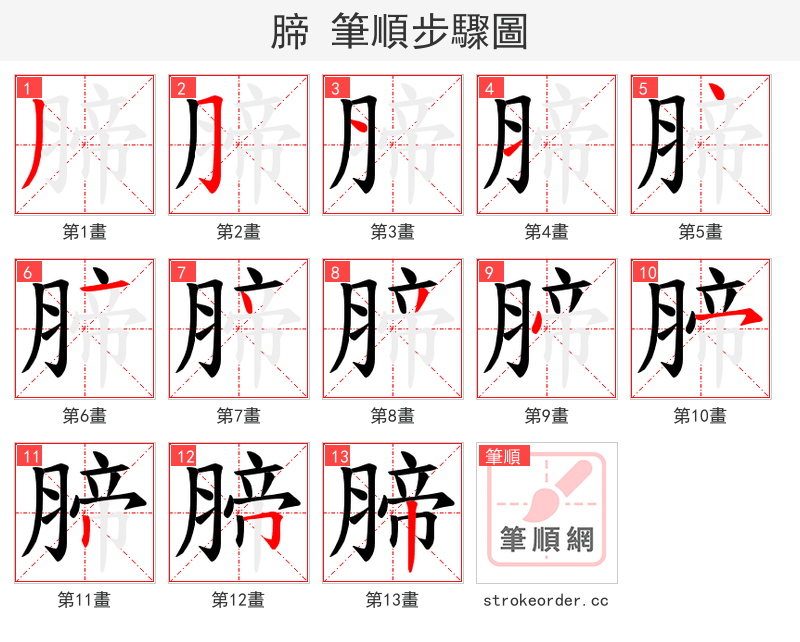 腣 的笔顺分步演示