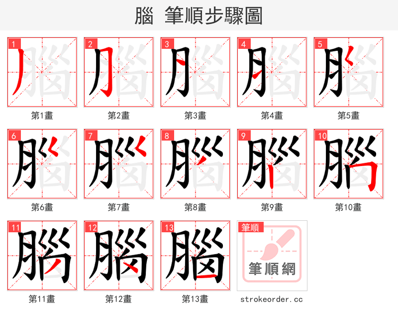 腦 的笔顺分步演示