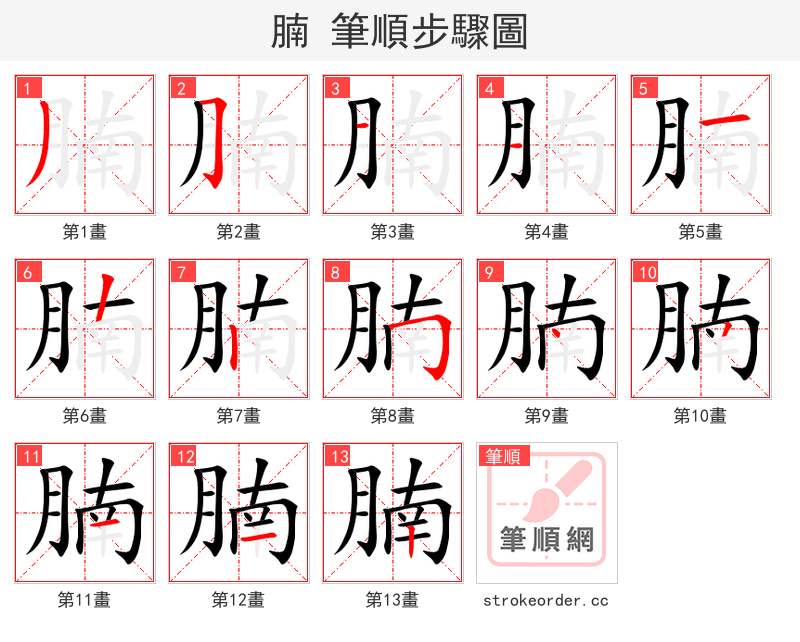 腩 的笔顺分步演示