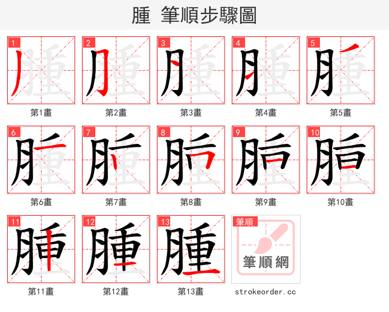 腫 的笔顺分步演示