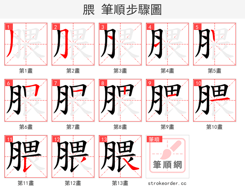 腲 的笔顺分步演示