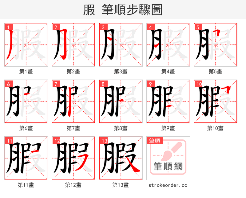 腵 的笔顺分步演示