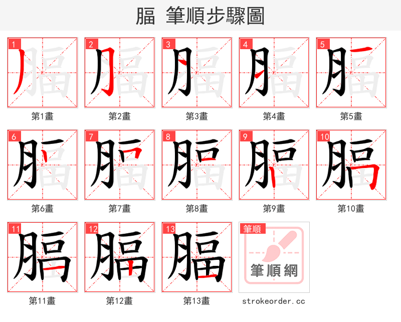腷 的笔顺分步演示